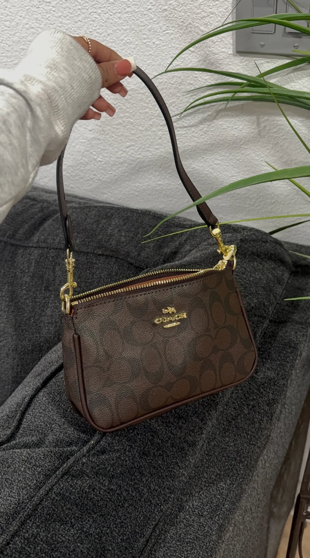 Small brown purse